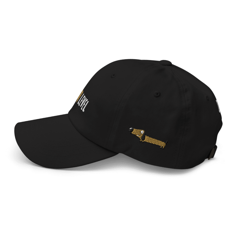 Floor Level DCC Embroidered Cap